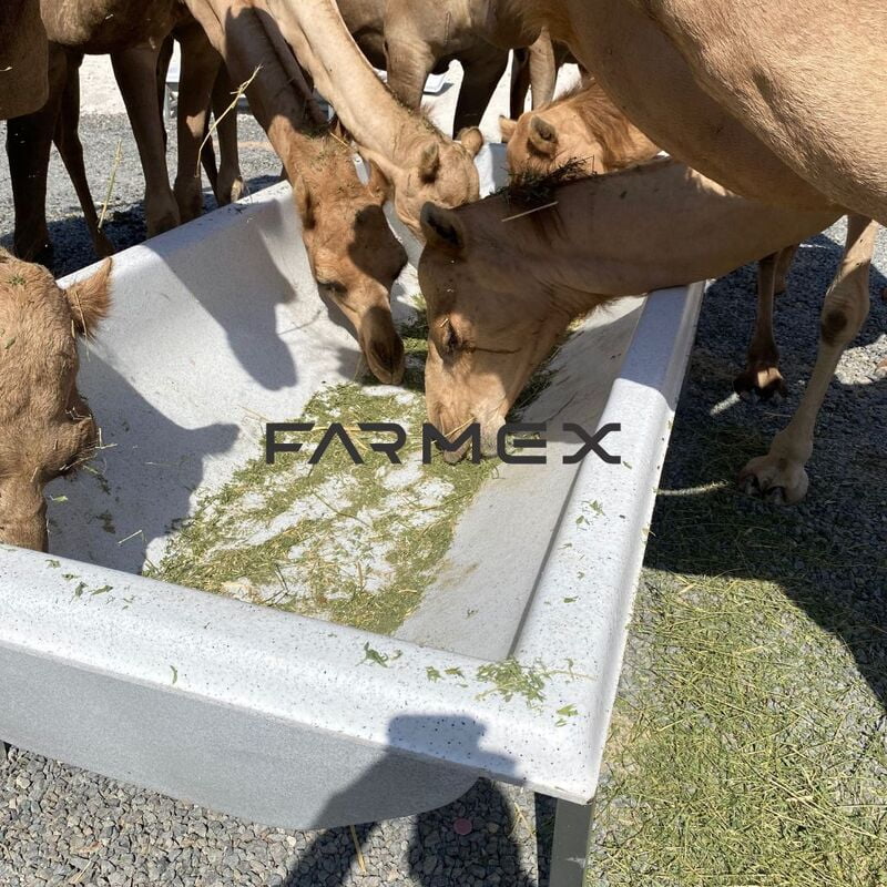 Feeder Trough for Camel Farmex FT750 Feeder Trough for Camel Farmex FT750