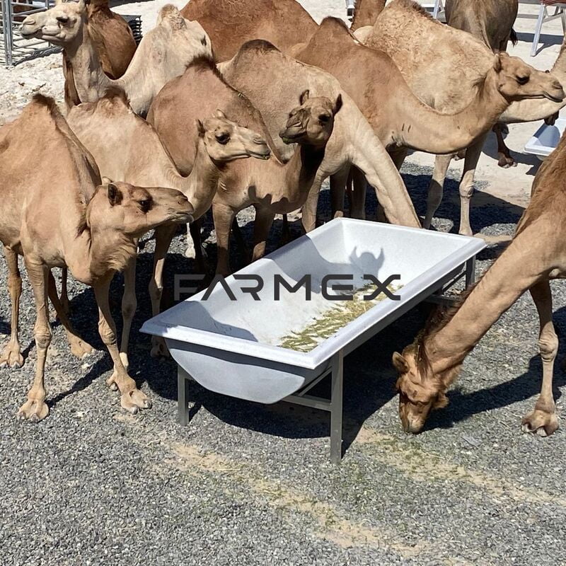 Feeder Trough for Camel Farmex FT750 Feeder Trough for Camel Farmex FT750