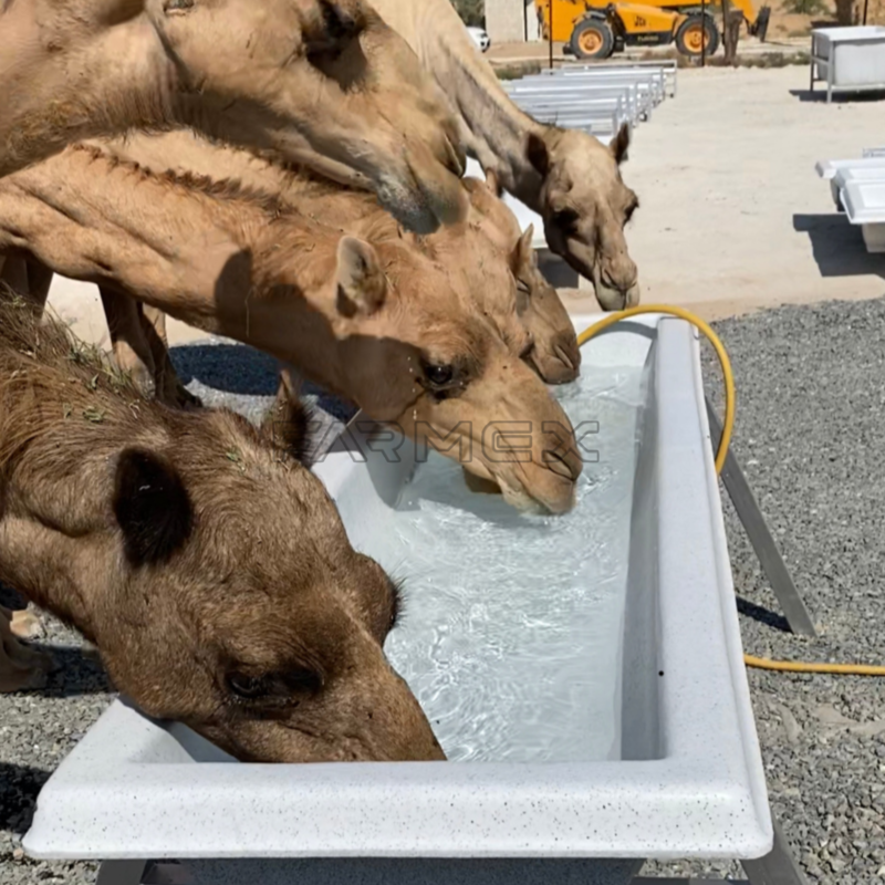Farmex Trough 200 Liter for Camel Farmex Trough 200 Liter for Camel