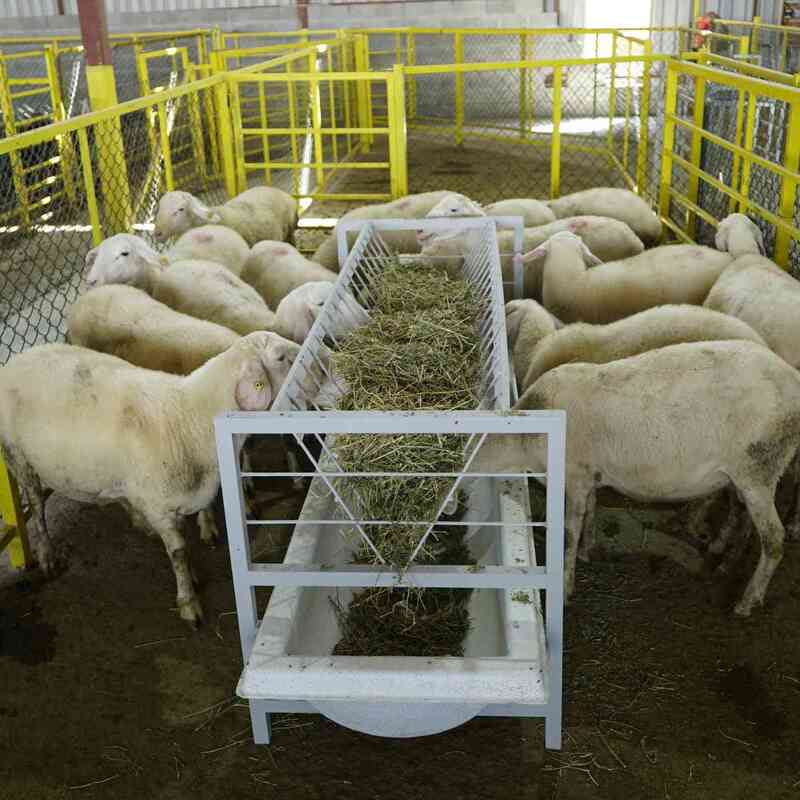 Farmex Trough 200 Liter - FT200Danish Farmex Trough 200 Liter - FT200Danish