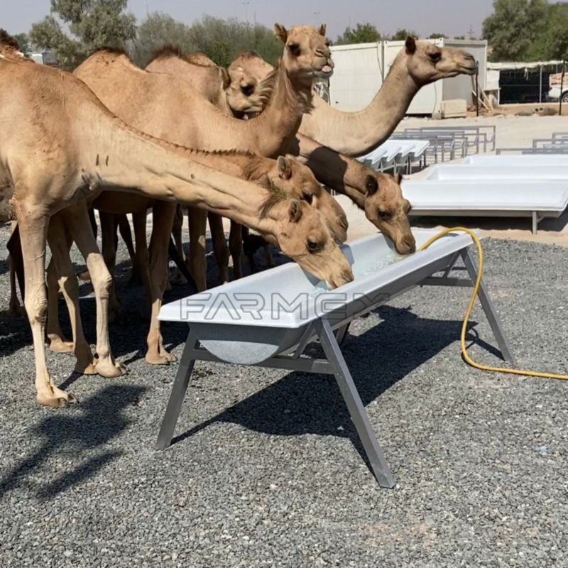 Farmex Trough 200 Liter for Camel Farmex Trough 200 Liter for Camel