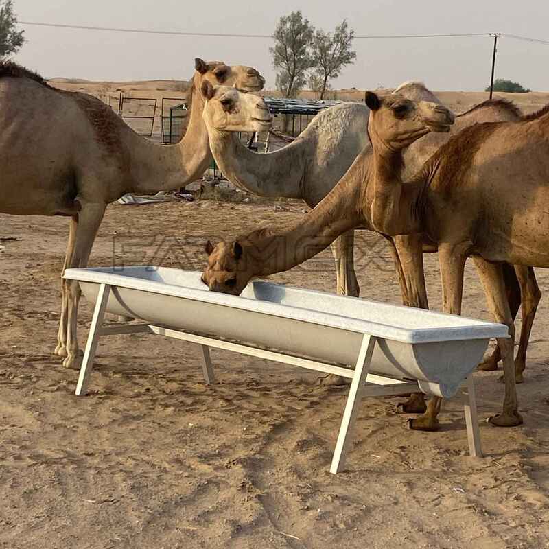 Farmex Trough 400 Liter for Camel Farmex Trough 400 Liter for Camel