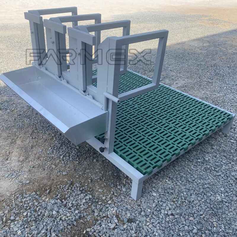 Headlock for Goat Sheep 3U with Base-Painted Metal Steel Headlock for Goat Sheep 3U with Base-Painted Metal Steel