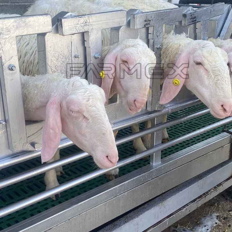 Headlock for Goat Sheep 3U with Base-Painted Metal Steel Headlock for Goat Sheep 3U with Base-Painted Metal Steel