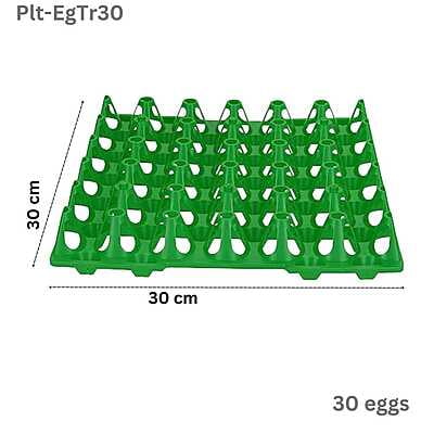 Plastic Egg Tray for 30 Chicken eggs