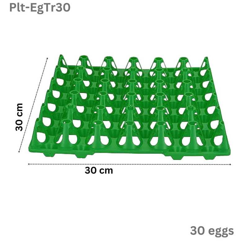 Plastic Egg Tray for 30 Chicken eggs