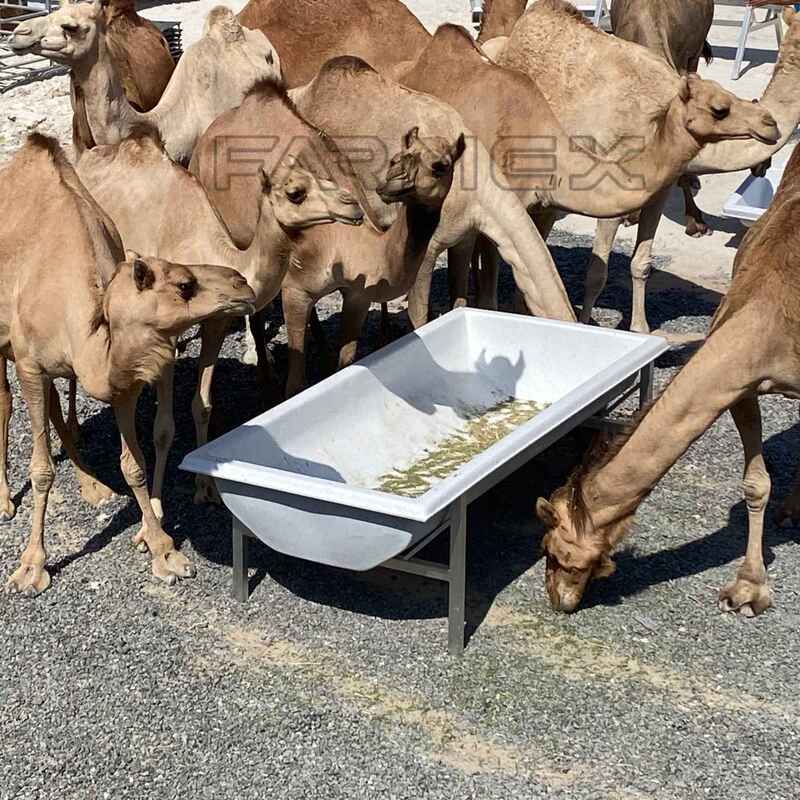 Farmex Trough 750 Liter for Camel Farmex Trough 750 Liter for Camel