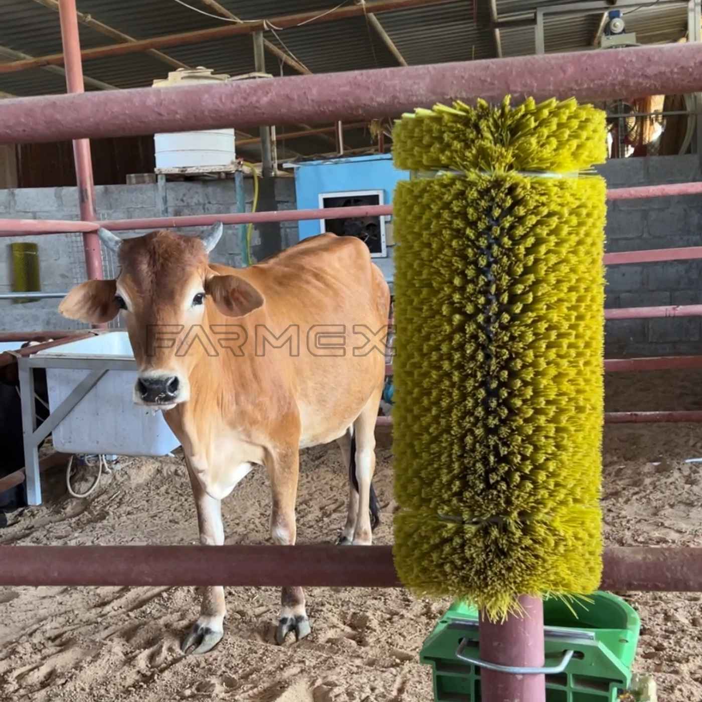 Scratch brush for sheep 180 Scratch brush for sheep 180