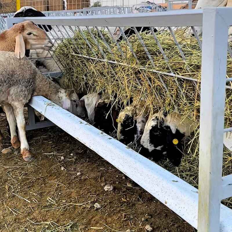 Farmex Trough 200 Liter - Danish V Farmex Trough 200 Liter - Danish V