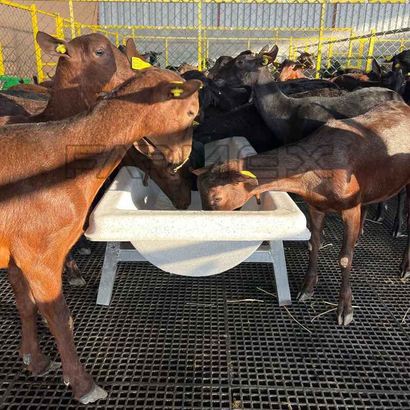 Farmex Trough 100 Liter for Sheep Farmex Trough 100 Liter for Sheep