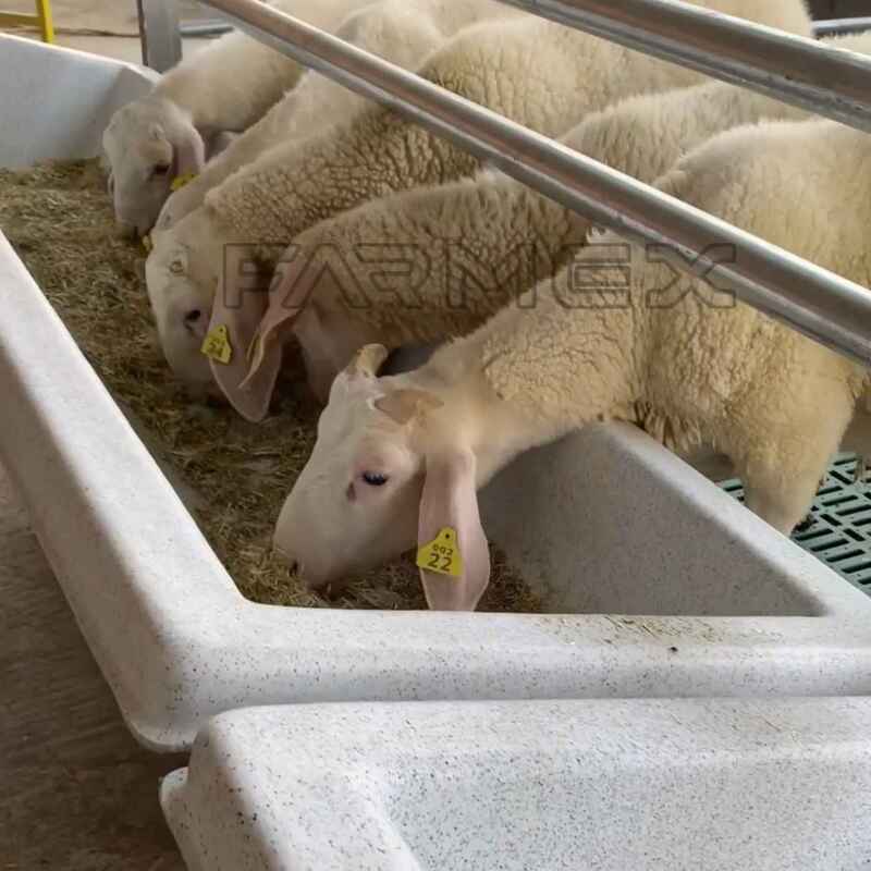 Farmex Trough 150 Liter for Sheep Hanger Farmex Trough 150 Liter for Sheep Hanger