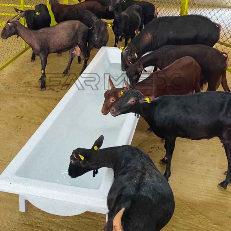 Farmex Trough 200 Liter for Sheep Farmex Trough 200 Liter for Sheep