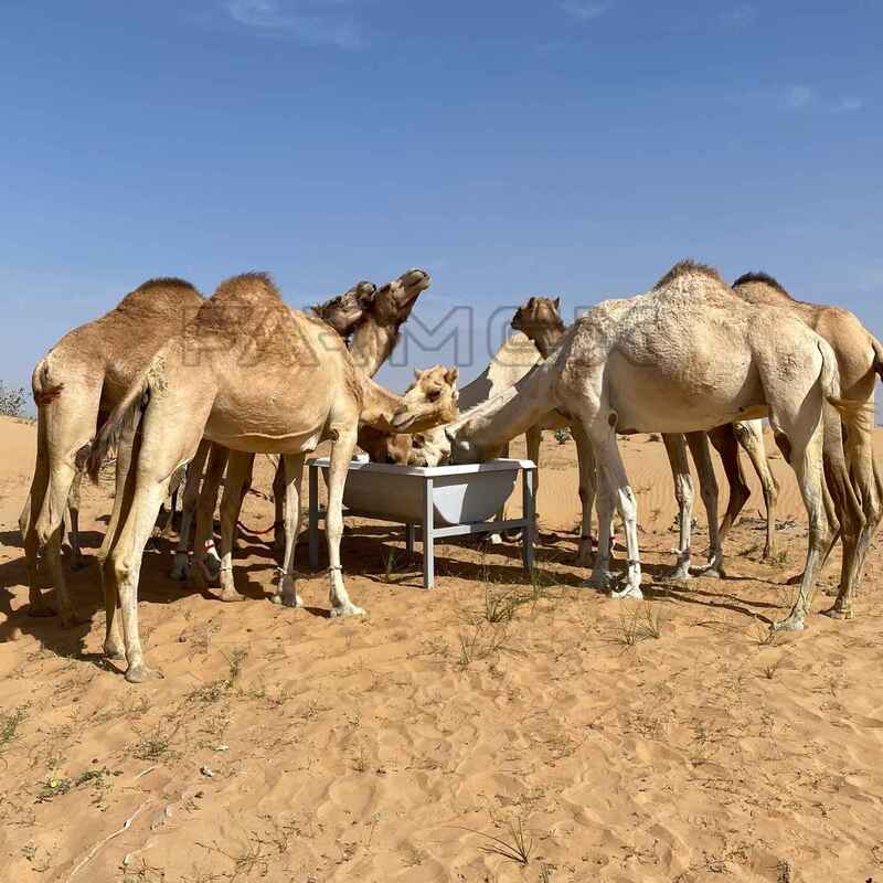 Farmex Trough 350 Liter for Camel Farmex Trough 350 Liter for Camel