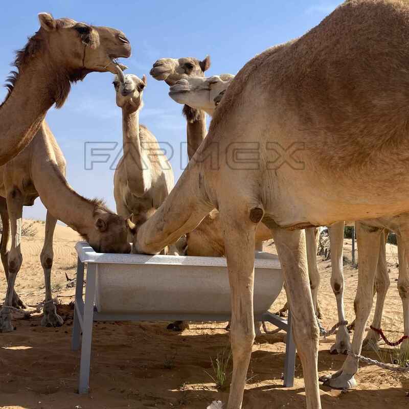 Farmex Trough 350 Liter for Camel Farmex Trough 350 Liter for Camel