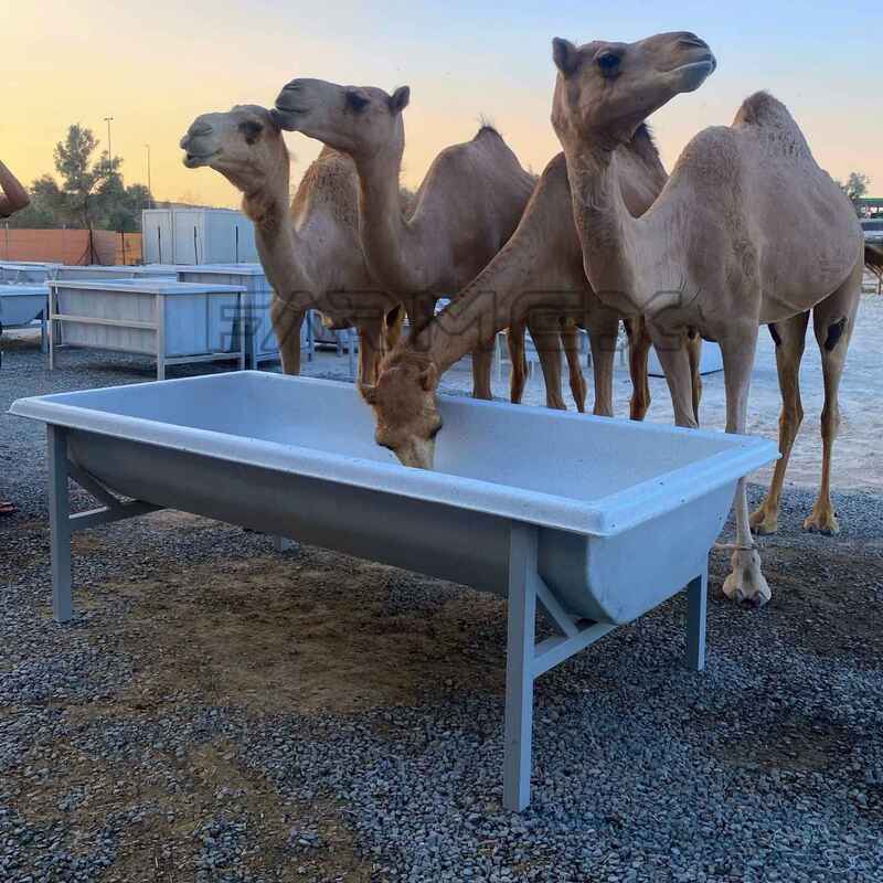 Farmex Trough 750 Liter for Camel Farmex Trough 750 Liter for Camel
