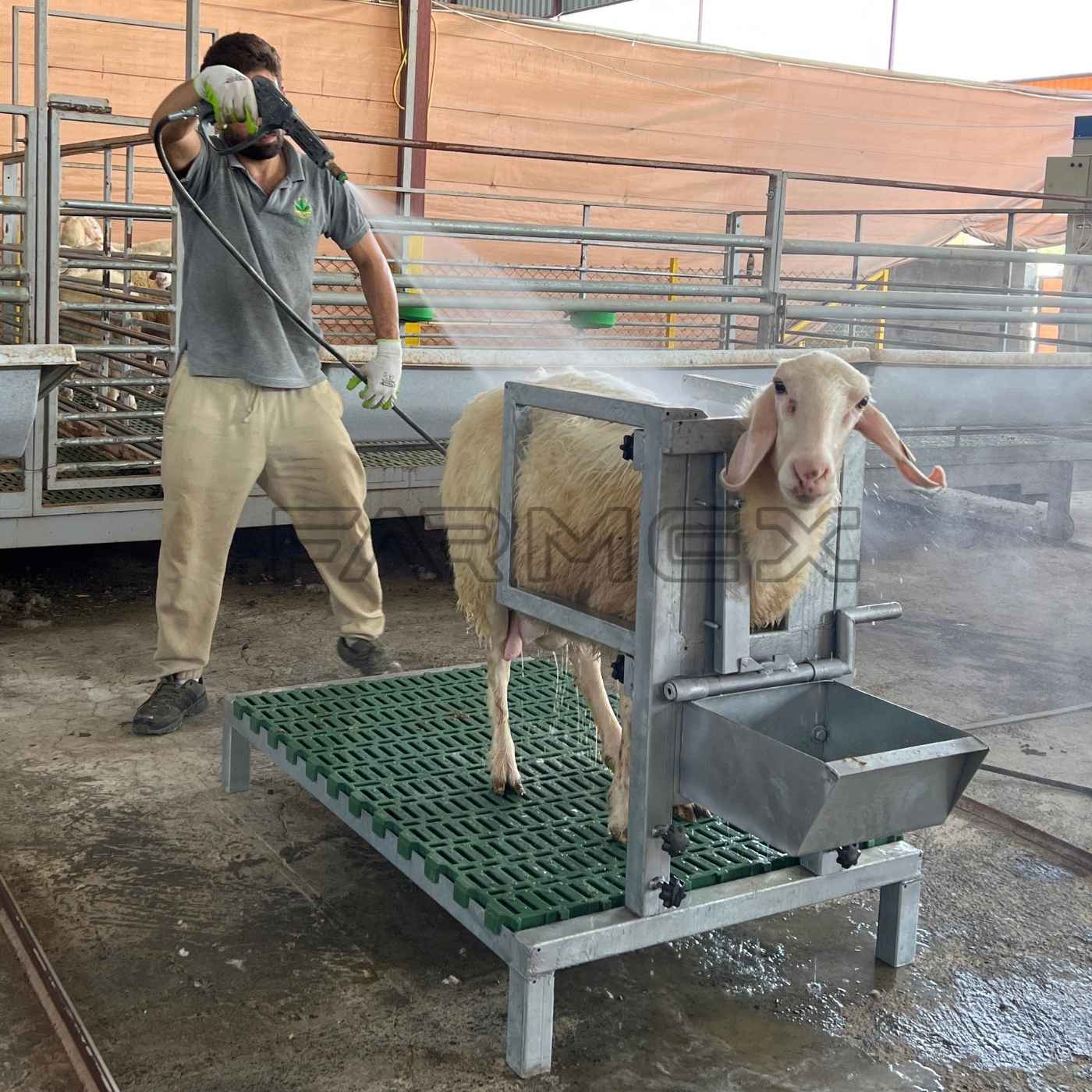 Headlock for Goat Sheep 1U with Base-Painted Metal Steel Headlock for Goat Sheep 1U with Base-Painted Metal Steel