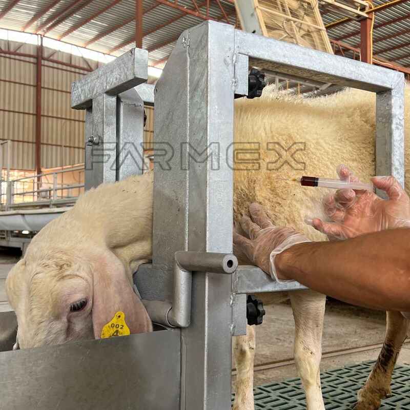 Headlock for Goat Sheep 1U with Base-Painted Metal Steel Headlock for Goat Sheep 1U with Base-Painted Metal Steel