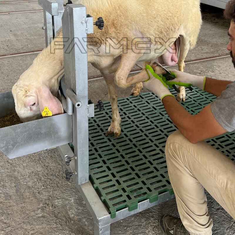 Headlock for Goat Sheep 1U with Base-Painted Metal Steel Headlock for Goat Sheep 1U with Base-Painted Metal Steel