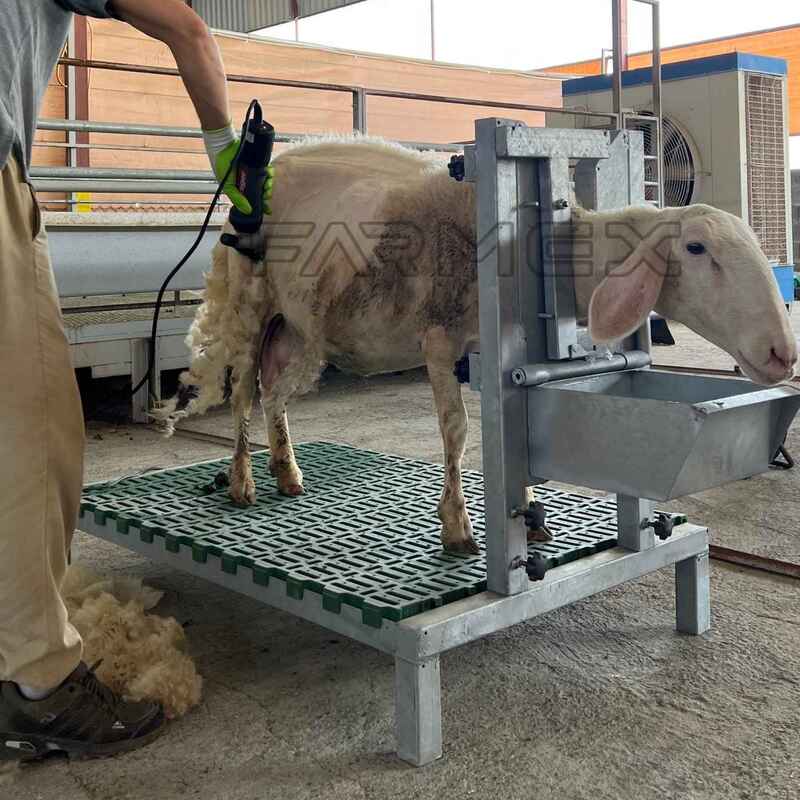 Headlock for Goat Sheep 1U with Base-Anti Rust Hot-Dip Galvanised Headlock for Goat Sheep 1U with Base-Anti Rust Hot-Dip Galvanised