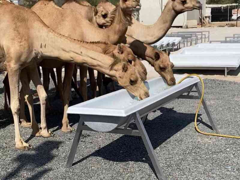 Water Feeder Trough 200 Liter Farmex FT200 Water Feeder Trough 200 Liter Farmex FT200