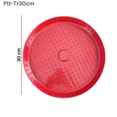 Tray 30 cm for Chicks