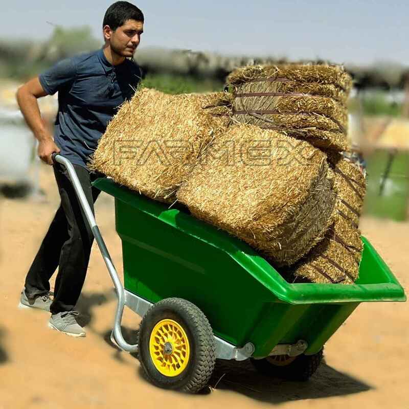 Wheelbarrow Farmex WB300 - Green Wheelbarrow Farmex WB300 - Green