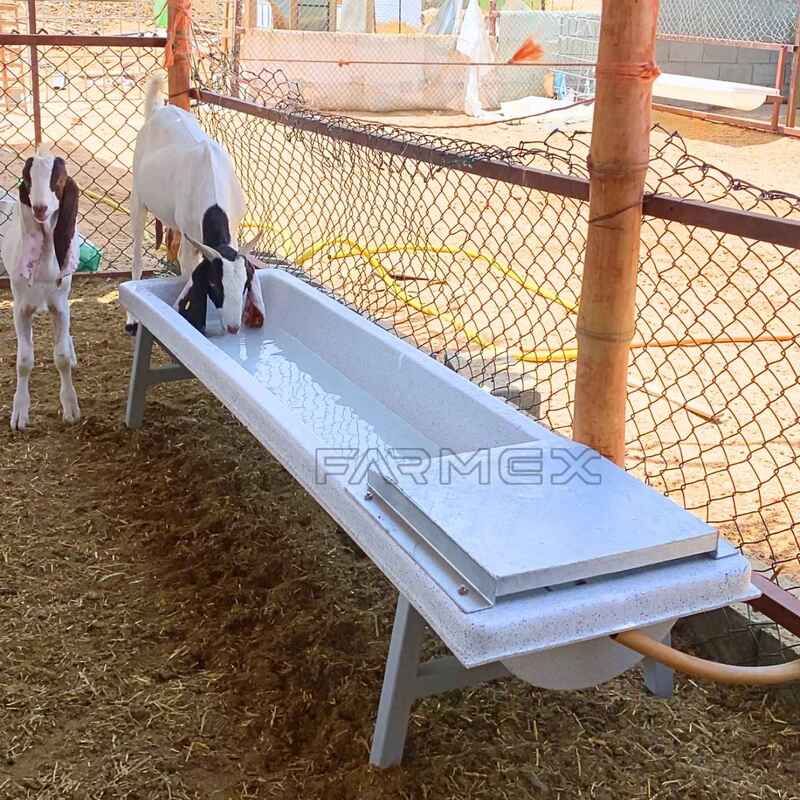 Automatic Drinker 100 Liter for Sheep Automatic Drinker 100 Liter for Sheep